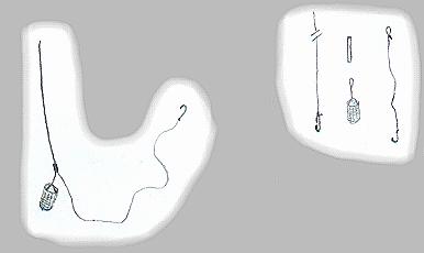 stroom tuberculose Maak een bed Het vangen van de aasvisjes